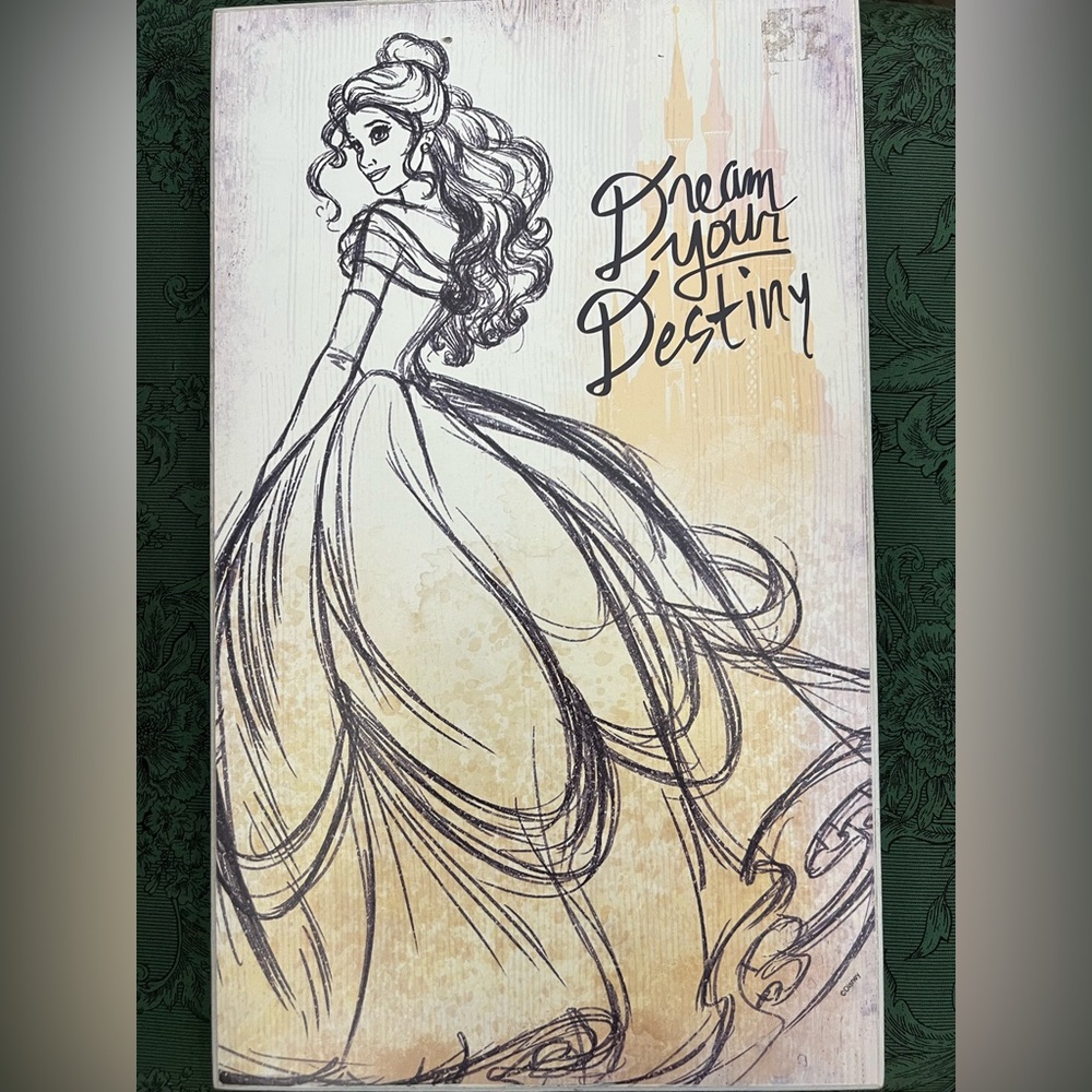 Disney Beauty and The Beast Belle artwork
